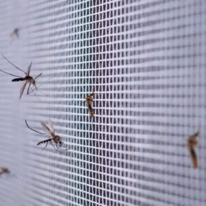 Stylish mosquito proof screens manufacturer