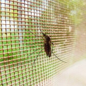 Stylish mosquito proof screens manufacturer