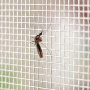 Mosquito proof screens manufacturer